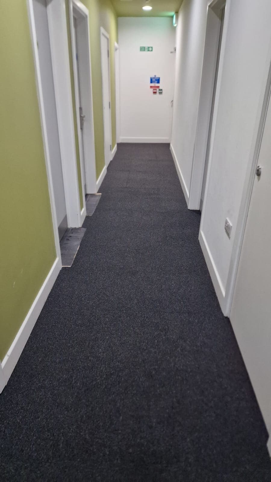 Carpet Floor Replacement - Image 4