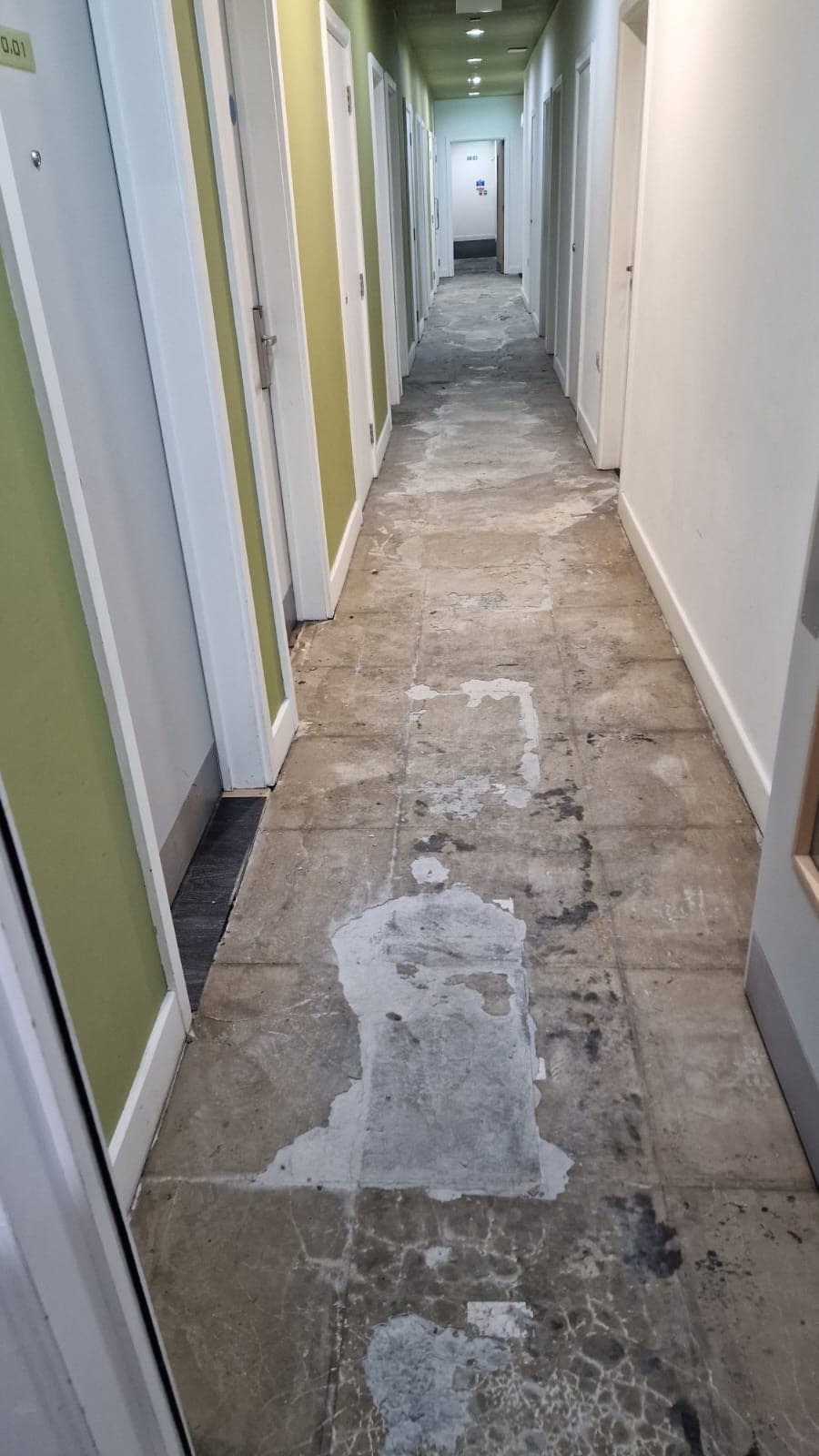 Carpet Floor Replacement - Image 5
