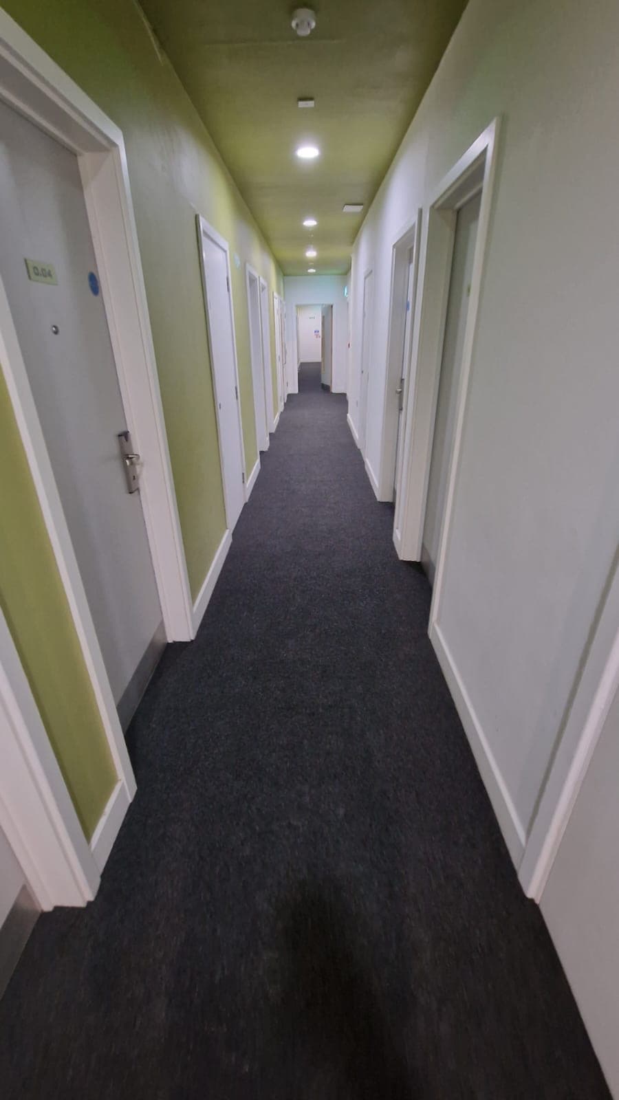 Carpet Floor Replacement