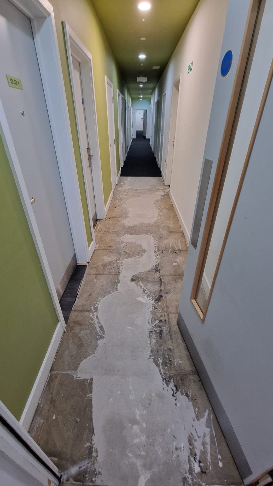Carpet Floor Replacement — Before